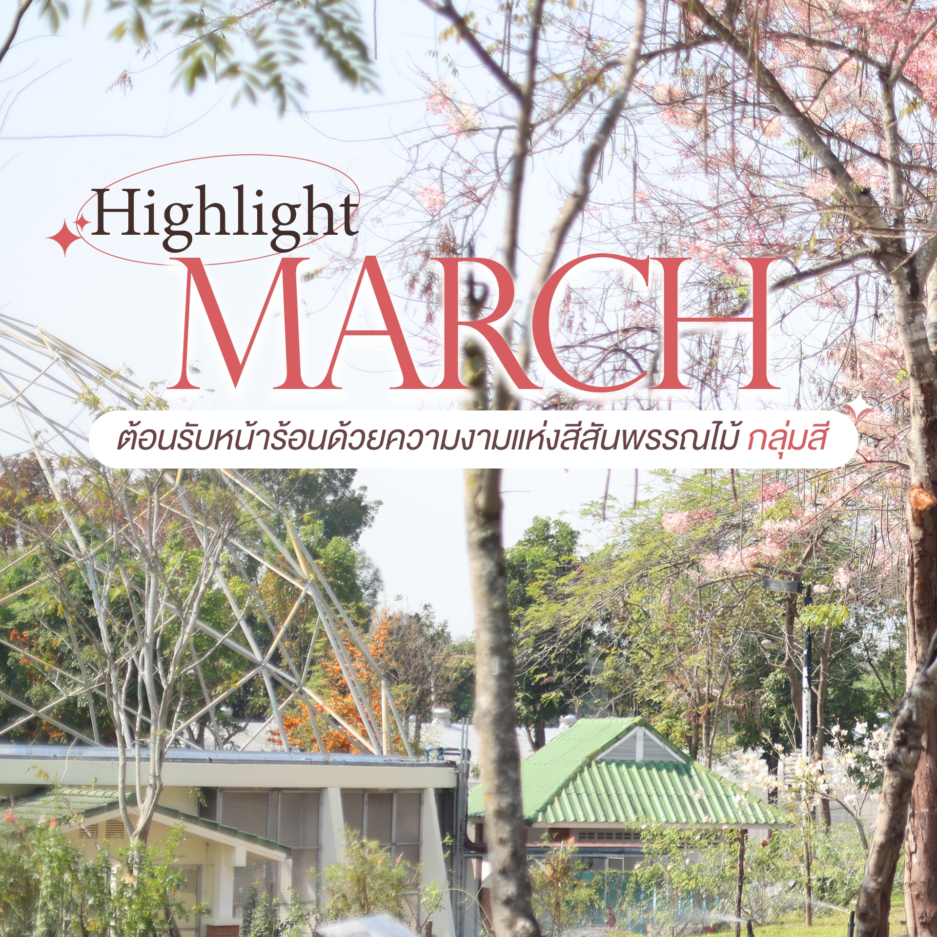 ❀ ไฮไลต์มีนาคม ดอกไม้หลากสีบานสะพรั่งที่ อุทยานหลวงราชพฤกษ์ จ.เชียงใหม่ ❀
