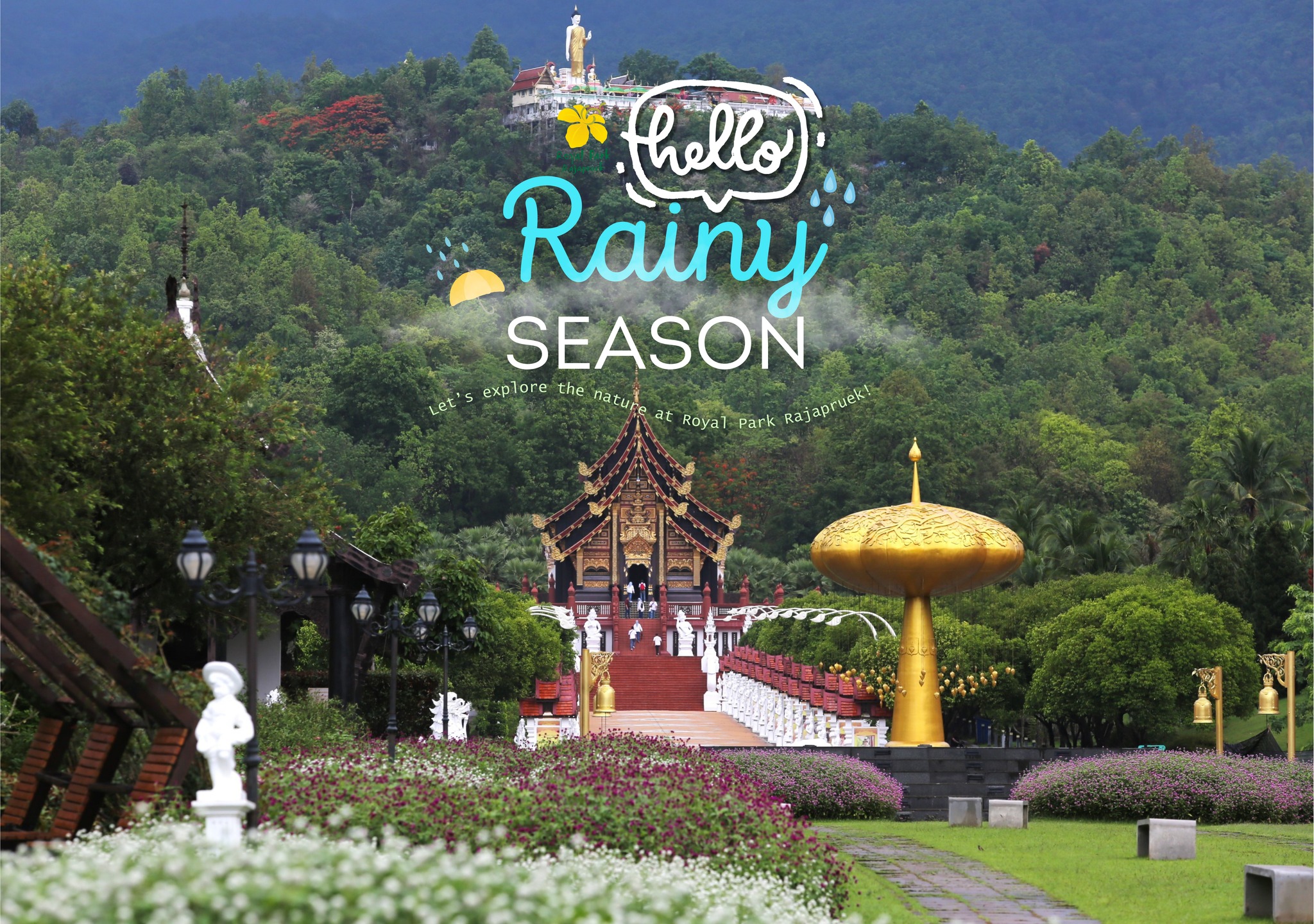 HELLO… RAINY SEASON HELLO… RAINY SEASON