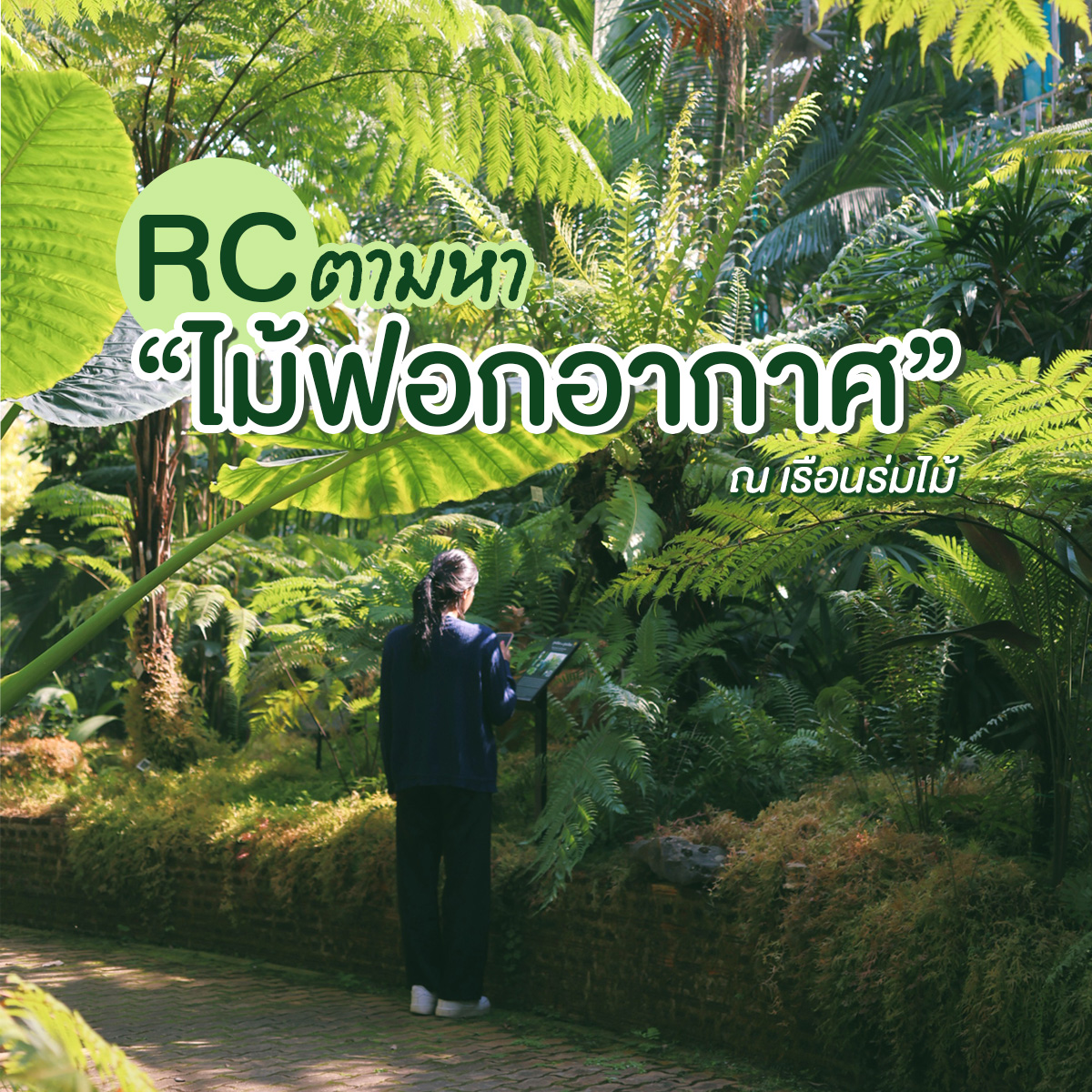 ❧ กิจกรรม ❧ กิจกรรม