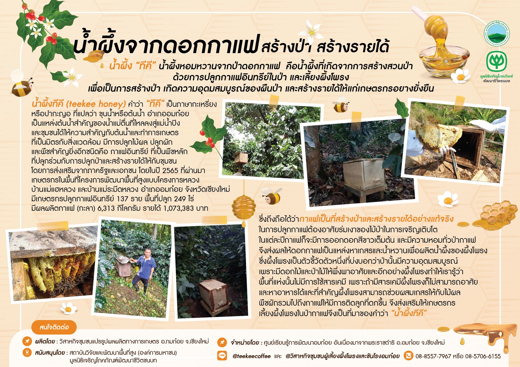 องค์ความรู้บนพื้นที่สูง น้ำผึ้ง “ทีคี” น้ำผึ้งหอมหวานจากป่าดอกกาแฟ องค์ความรู้บนพื้นที่สูง น้ำผึ้ง “ทีคี” น้ำผึ้งหอมหวานจากป่าดอกกาแฟ