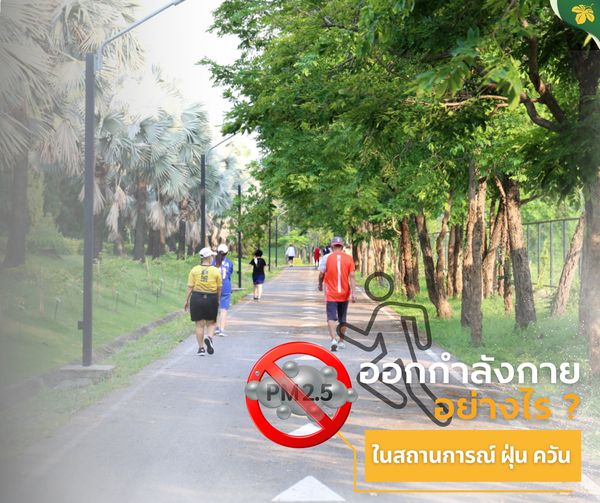 ออกกำลังกายอย่างไรให้ปลอดภัยในสถานการณ์ PM 2.5 ออกกำลังกายอย่างไรให้ปลอดภัยในสถานการณ์ PM 2.5