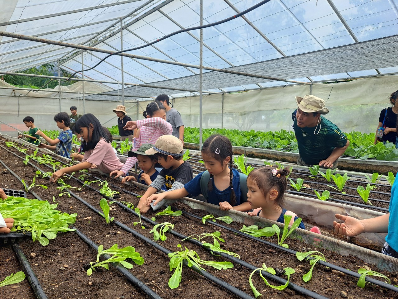 กิจกรรม Nature Camp กิจกรรม Nature Camp