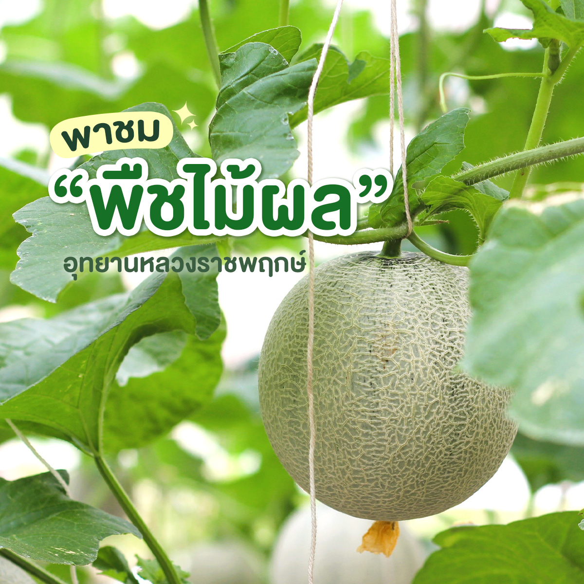 สัมผัสเสน่ห์ 