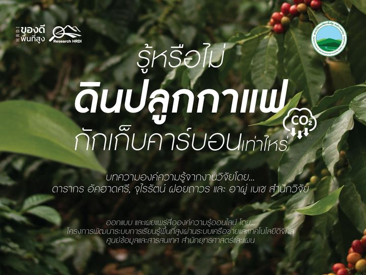 ดินปลูกกาแฟกักเก็บคาร์บอนเท่าไหร่⁉ ดินปลูกกาแฟกักเก็บคาร์บอนเท่าไหร่⁉