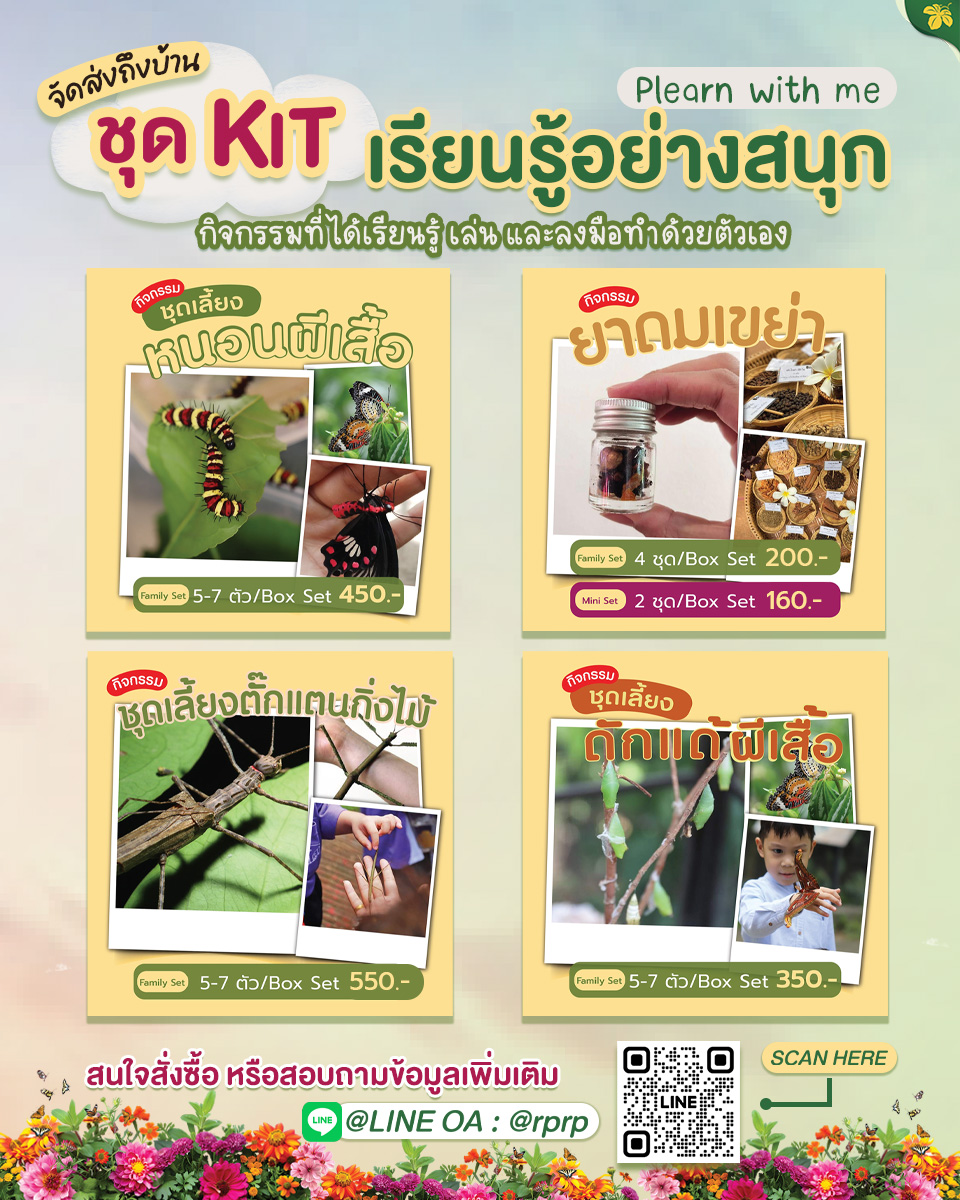 ❤ ปิดเทอมแล้ว มาเรียนรู้อยู่กับธรรมชาติได้จากที่บ้าน