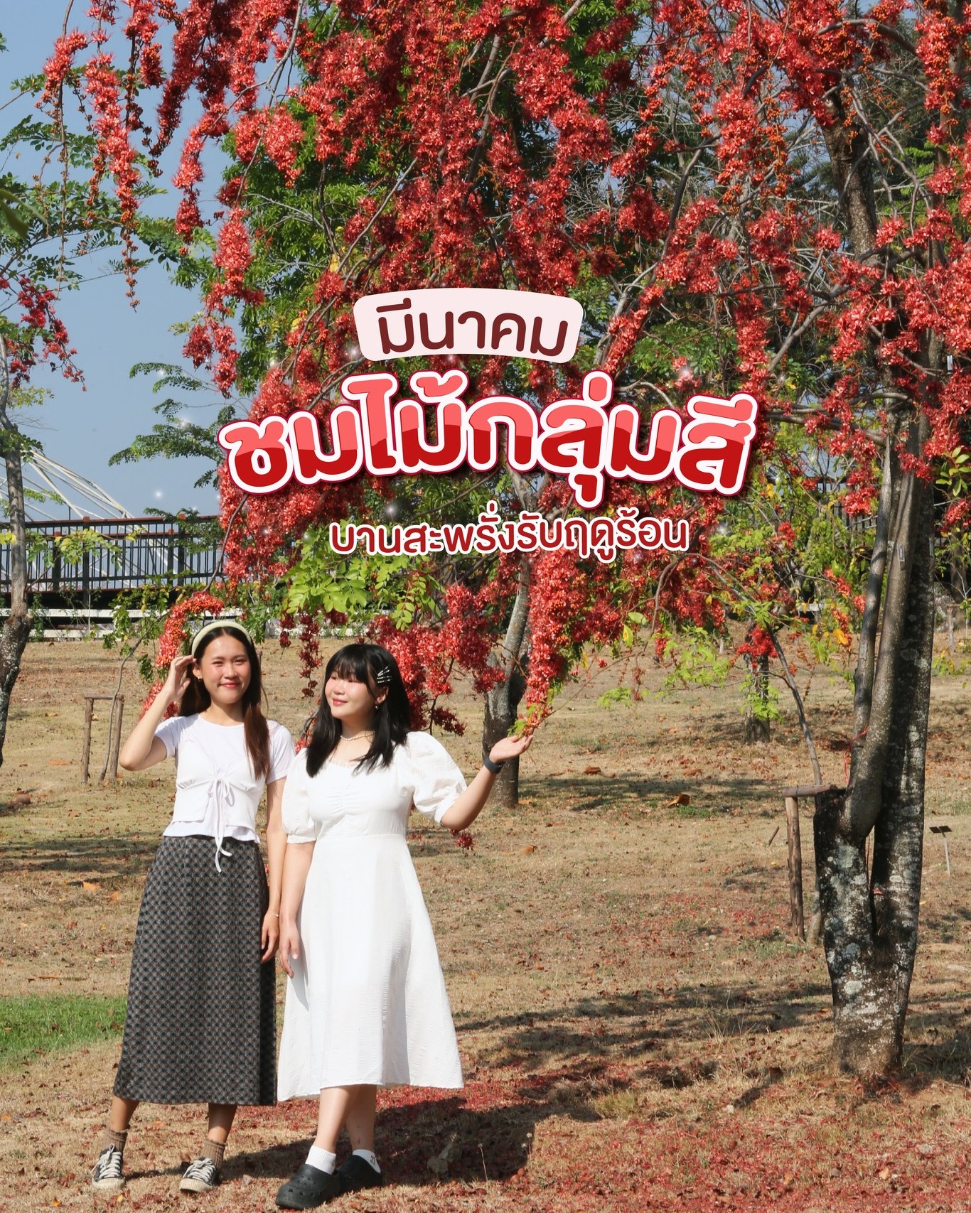 แจกลิสต์เที่ยวเดือนมีนาคม...ชมไม้กลุ่มสีบานสะพรั่งที่อุทยานหลวงราชพฤกษ์ จ.เชียงใหม่ แจกลิสต์เที่ยวเดือนมีนาคม...ชมไม้กลุ่มสีบานสะพรั่งที่อุทยานหลวงราชพฤกษ์ จ.เชียงใหม่