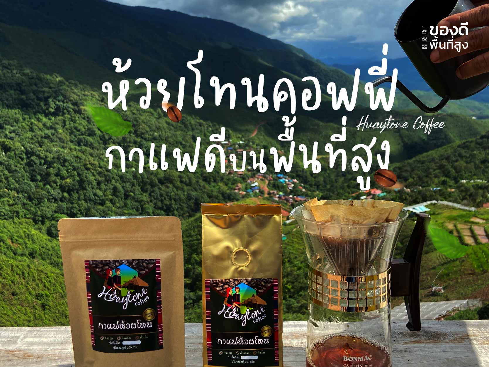 จากต้นสู่แก้ว จากไร่เลื่อนลอยสู่ไร่กาแฟ จากต้นสู่แก้ว จากไร่เลื่อนลอยสู่ไร่กาแฟ